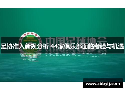 足协准入新规分析 44家俱乐部面临考验与机遇
